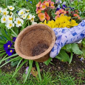 coir pots can be used several times