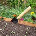 Small gardening trowel with seed tray