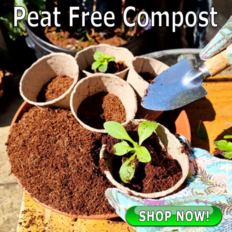 Plastic Free Gardening with e-pots -100% Natural Eco-Gardening