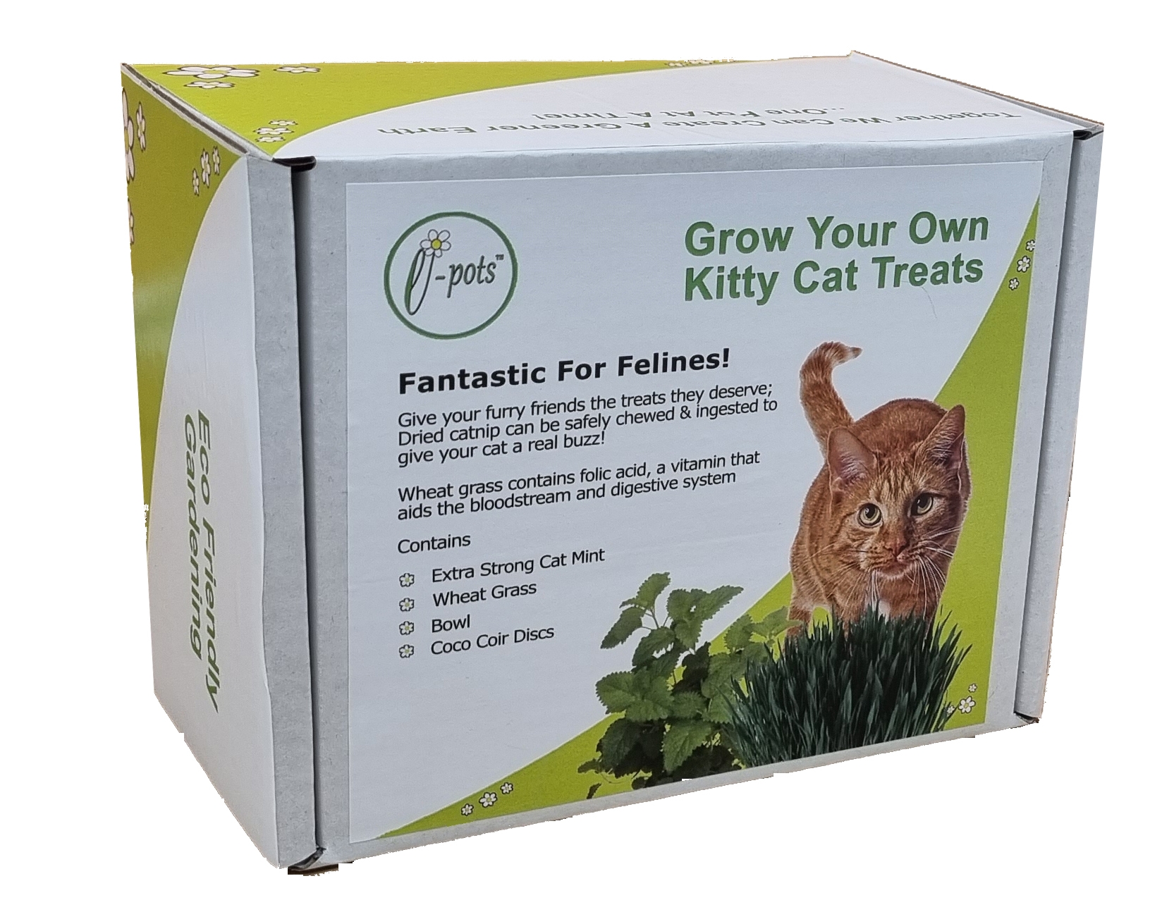 Grow Your Own 'Kitty Cat Treats' Eco GYO Gift Set | 2 x Cats Favourite