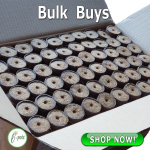 Bulk Buy