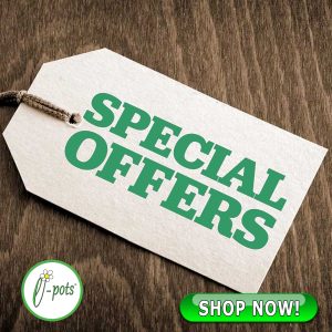 Special Offers