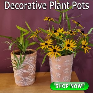Decorative Pots