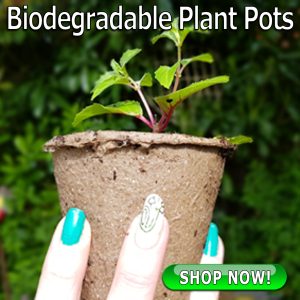 Biodegradable Pots