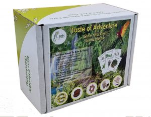 e-pots 'Taste of Adventure' Grow your own exotic herbs gift set