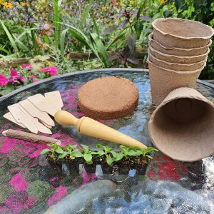 Biodegradable plant pots with plug plants